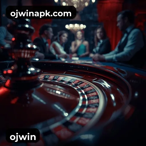 ojwin Instalar Logo 2